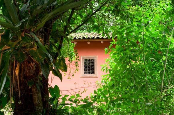 Hacienda La Isla Lodge Sarapiquí المظهر الخارجي الصورة